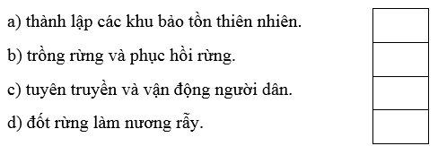 Trắc nghiệm Lịch Sử và Địa Lí lớp 4 Chân trời sáng tạo Bài 19 (có đáp án): Thiên nhiên vùng Tây Nguyên