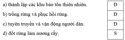 Trắc nghiệm Lịch Sử và Địa Lí lớp 4 Chân trời sáng tạo Bài 19 (có đáp án): Thiên nhiên vùng Tây Nguyên
