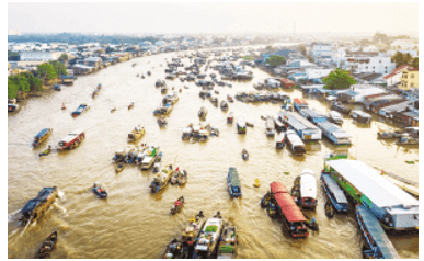 Trắc nghiệm Lịch Sử và Địa Lí lớp 4 Chân trời sáng tạo Bài 25 (có đáp án): Một số nét văn hóa và truyền thống cách mạng ở vùng Nam Bộ