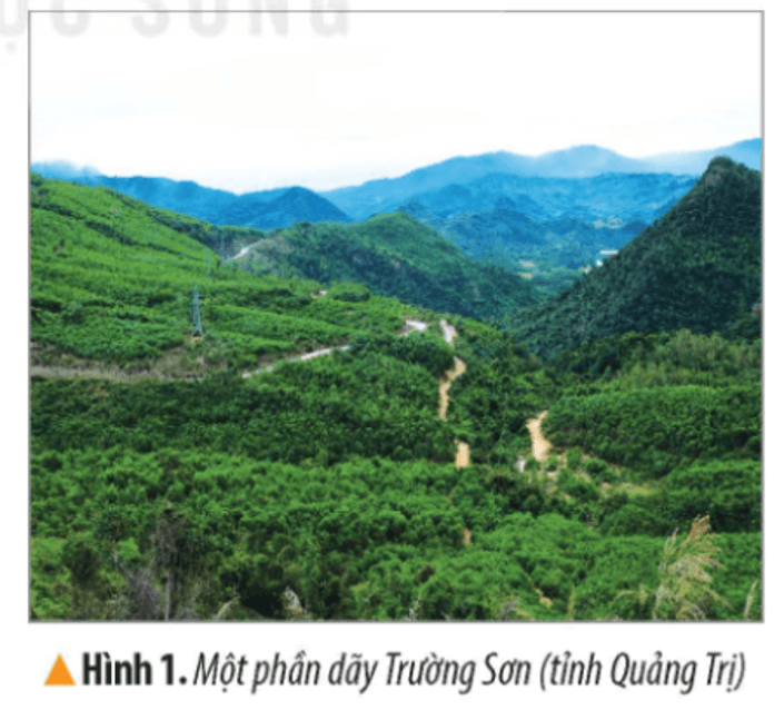 Lịch Sử và Địa Lí lớp 4 Kết nối tri thức Bài 15: Thiên nhiên vùng Bắc Trung Bộ và Nam Trung Bộ