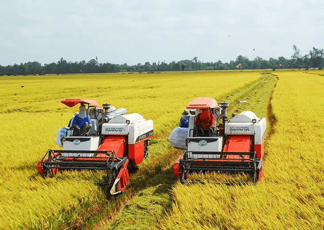 Lịch Sử và Địa Lí lớp 4 Kết nối tri thức Bài 23: Dân cư và hoạt động sản xuất ở vùng Nam Bộ