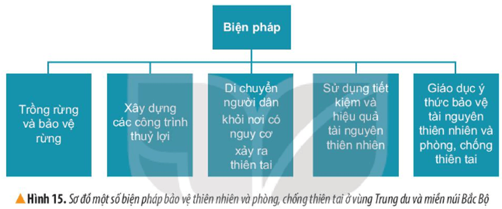 Lịch Sử và Địa Lí lớp 4 Kết nối tri thức Bài 4: Thiên nhiên vùng Trung du và miền núi phía Bắc