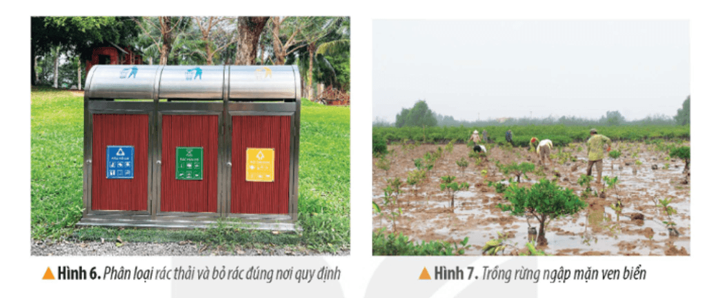 Lịch Sử và Địa Lí lớp 4 Kết nối tri thức Bài 8: Thiên nhiên vùng Đồng bằng Bắc Bộ