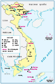 Trắc nghiệm Lịch Sử và Địa Lí lớp 5 Chân trời sáng tạo Bài 2 (có đáp án): Thiên nhiên Việt Nam (ảnh 9)