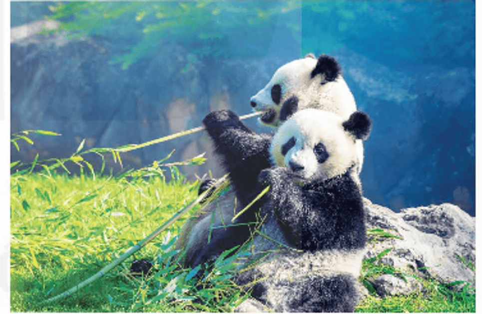 Lịch Sử và Địa Lí lớp 5 Kết nối tri thức Bài 18: Nước Cộng hoà Nhân dân Trung Hoa