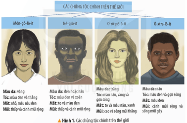 Lịch Sử và Địa Lí lớp 5 Kết nối tri thức Bài 23: Dân số và các chủng tộc chính trên thế giới