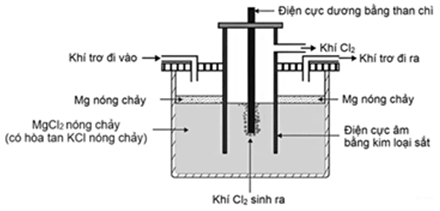 Đề thi thử Hóa Tốt nghiệp THPT 2025-2026 Sở Bắc Ninh (Lần 1 - Mã 1)
