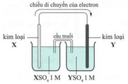 Đề thi thử Hóa Tốt nghiệp THPT 2025-2026 trường chuyên Khoa học tự nhiên (Hà Nội)