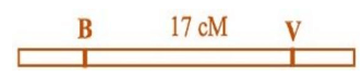 Đề thi thử Sinh học Tốt nghiệp THPT 2025-2026 Sở Hà Nội