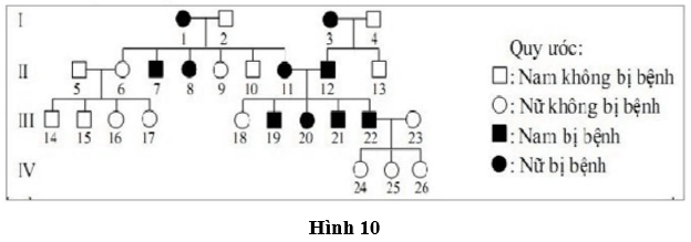 Đề thi thử Sinh học Tốt nghiệp THPT 2025-2026 Sở Hà Nội