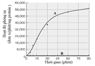 Đề thi thử Sinh học Tốt nghiệp 2025-2026 trường THPT chuyên Phan Bội Châu (Nghệ An)