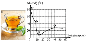 Đề thi thử Vật Lí Tốt nghiệp 2025-2026 trường THPT Quế Võ 1 (Bắc Ninh)