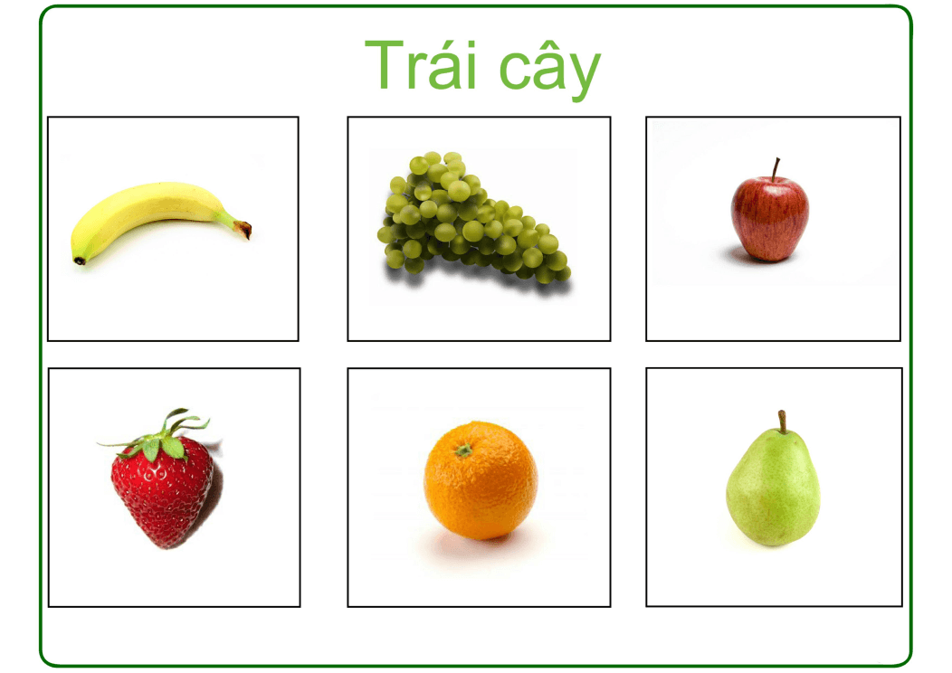 Bộ học liệu nhận biết cho bé