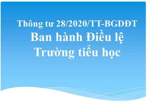 Điều lệ trường Tiểu học mới nhất năm 2025 (mới nhất)