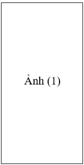 Đơn đề nghị cấp hộ chiếu phổ thông mới nhất