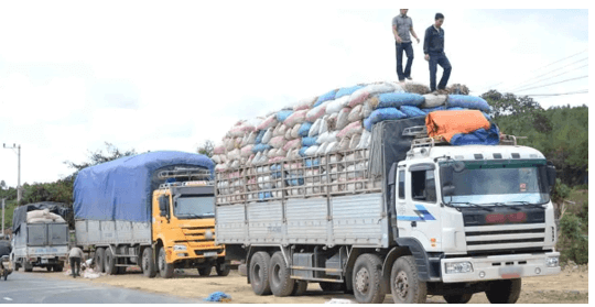 Giấy vận tải năm 2025 (mới nhất)