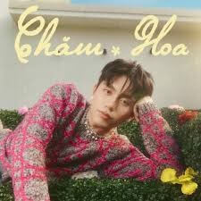 Chăm hoa (lời bài hát, lyric chính xác nhất)
