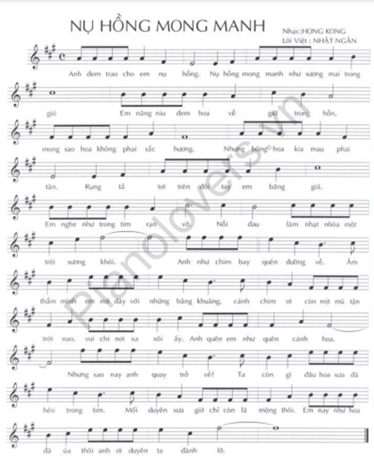 Nụ hồng mong manh (lời bài hát, lyric chính xác nhất)