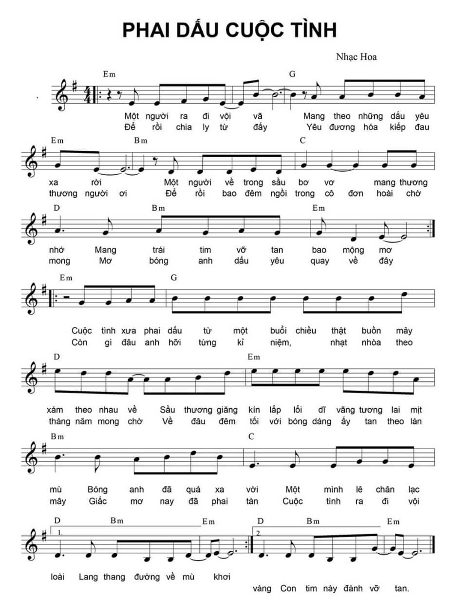 Phai dấu cuộc tình (lời bài hát, lyric chính xác nhất)