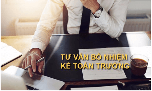 Mẫu quyết định bổ nhiệm kế toán trưởng năm 2025 (mới nhất)