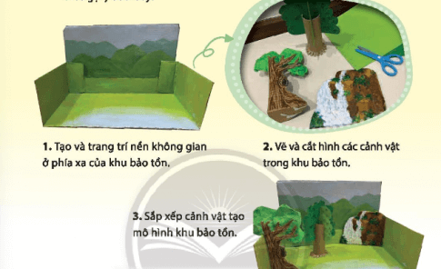 Mĩ thuật lớp 4 Chân trời sáng tạo Bài 4: Mô hình khu bảo tồn thiên nhiên