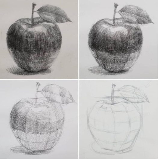Mĩ thuật lớp 7 Bài 2: Cái cốc và quả