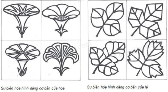 Bạn muốn tạo ra những họa tiết trang trí độc đáo và thú vị? Hãy tham khảo những ý tưởng và cách làm mà các học sinh lớp 7 đã áp dụng để tạo nên những tác phẩm đẹp mắt và ấn tượng.