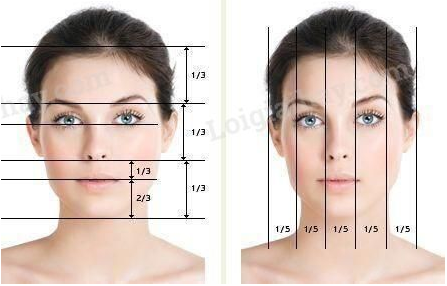 Mĩ thuật lớp 8 Bài 13: Giới thiệu tỉ lệ khuôn mặt người