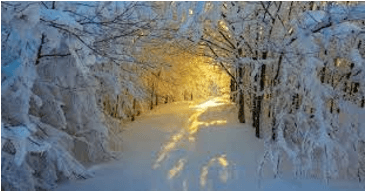 (Siêu ngắn) Soạn bài Con đường mùa đông | Kết nối tri thức