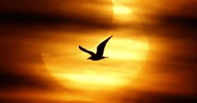 Soạn bài Mộ, Nguyên tiêu | Kết nối tri thức