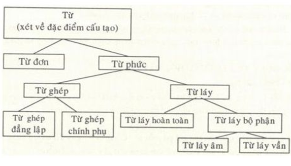 Từ và cấu tạo của từ tiếng Việt lớp 6 - Ngữ văn lớp 6