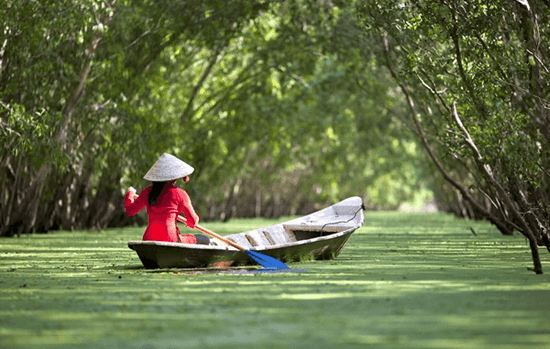 (Siêu ngắn) Soạn bài Ghe xuồng Nam Bộ | Cánh diều