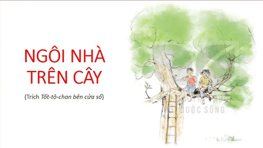 (Siêu ngắn) Soạn bài Ngôi nhà trên cây trang 33, 34, 35, 36, 37 | Kết nối tri thức