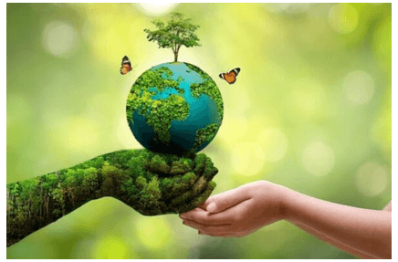 (Siêu ngắn) Soạn bài “Dấu chân sinh thái” của mỗi người và thông điệp từ Trái Đất | Kết nối tri thức