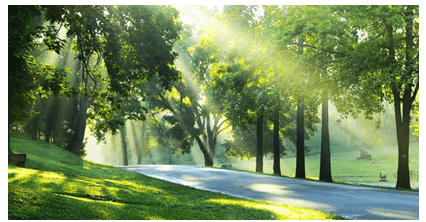 (Siêu ngắn) Soạn bài Nắng mới – sự thành thực của một tâm hồn giàu mơ mộng | Kết nối tri thức