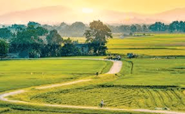 (Siêu ngắn) Soạn bài Miền quê | Kết nối tri thức