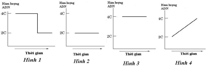 100+ câu hỏi trắc nghiệm Sinh học tế bào (có đáp án)