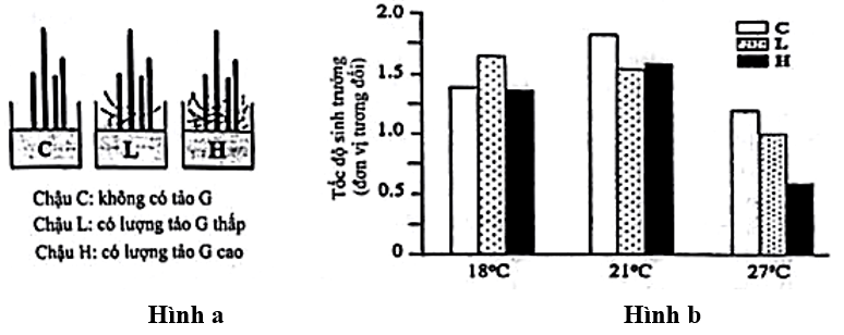 100+ câu hỏi trắc nghiệm Sinh thái học (có đáp án)