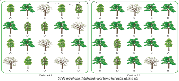 100+ câu hỏi trắc nghiệm Sinh thái học (có đáp án)