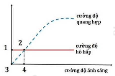 100+ câu hỏi trắc nghiệm Trao đổi chất và chuyển hóa năng lượng ở thực vật (có đáp án)