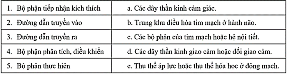100+ câu hỏi trắc nghiệm Cảm ứng ở sinh vật (có đáp án)