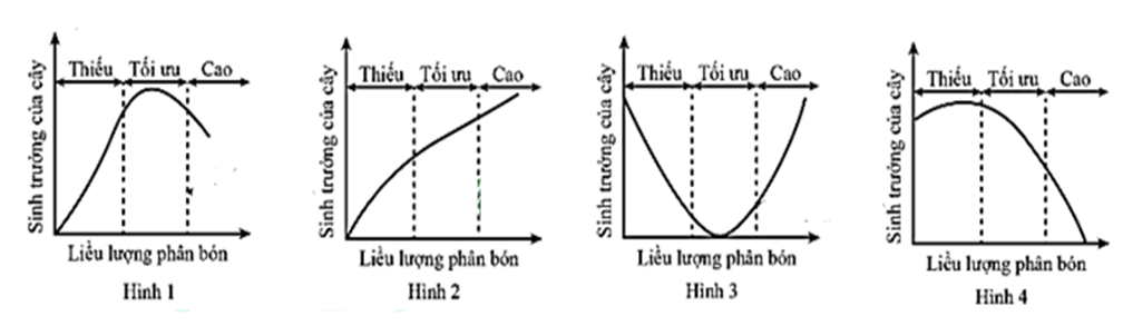 cau-hoi-chu-de-6-sinh-truong-va-phat-trien-ottnsinh.jsp