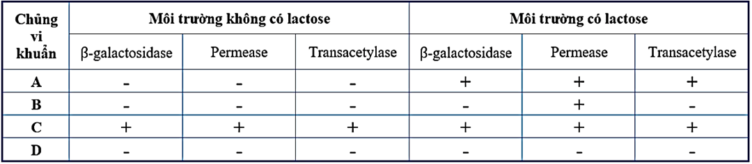 100+ câu hỏi trắc nghiệm Di truyền học phân tử (có đáp án)