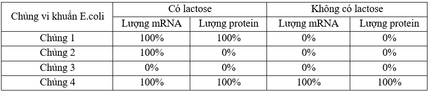 100+ câu hỏi trắc nghiệm Di truyền học phân tử (có đáp án)