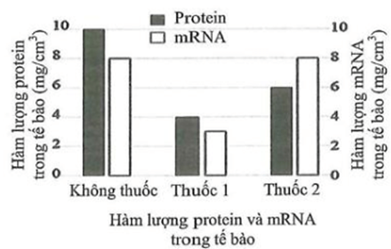 100+ câu hỏi trắc nghiệm Di truyền học phân tử (có đáp án)