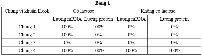 100+ câu hỏi trắc nghiệm Di truyền học phân tử (có đáp án)