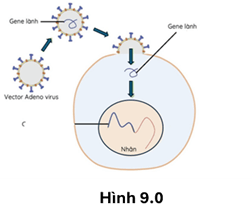 100+ câu hỏi trắc nghiệm Di truyền học phân tử (có đáp án)