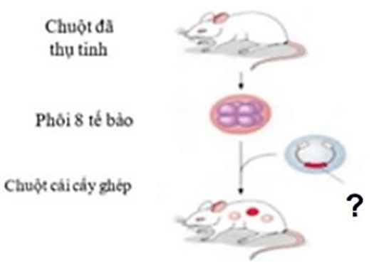 100+ câu hỏi trắc nghiệm Di truyền học phân tử (có đáp án)
