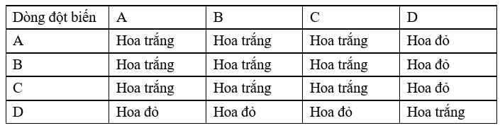 100+ câu hỏi trắc nghiệm Nhiễm sắc thể và các quy luật di truyền (có đáp án)
