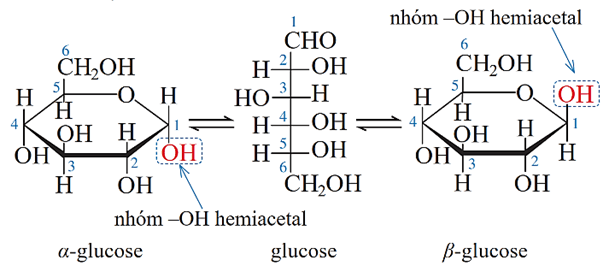 Carbohydrate (Chuyên đề Hóa học ôn thi Tốt nghiệp 2025)